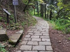 -莫干山风景区