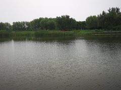 -永定河休闲森林公园