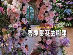 -HERRE·FARM 赫尔露营农场·团建聚会包场