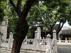 -白云观