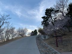 -北京西山国家森林公园