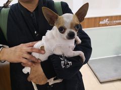 -宠福鑫动物医院·动物疾病诊疗中心(天通苑店)