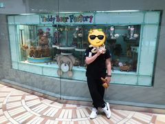 -济州岛泰迪熊博物馆