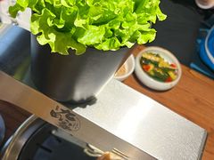 -九田家黑牛烤肉料理(新辰里亚运村店)