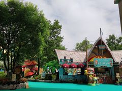 -苏州乐园森林水世界