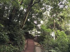 -青城山