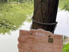 -番禺大夫山森林公园