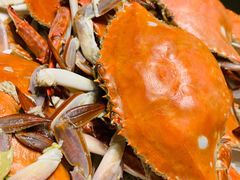 清蒸梭子蟹-高佳庄·舟山海鲜(海景旗舰店)