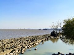 -上海吴淞炮台湾国家湿地公园