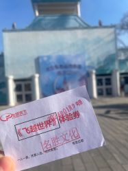 -飞览天下沉浸式飞行体验(北京旗舰店)