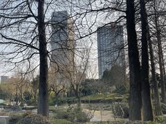 -新虹桥中心花园