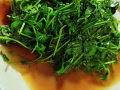 -阿巧一号私房菜(止园路店)