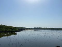 -上海海湾国家森林公园