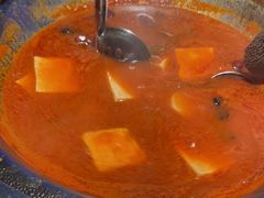 -辣伍鲜毛肚老火锅(元一店)