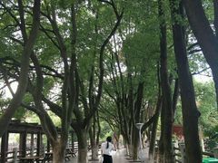 -白马涧龙池景区