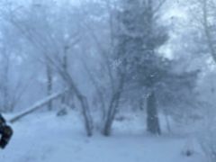 -雪谷
