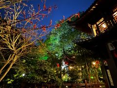 -十八棵（老龙井）御茶园(老龙井店)