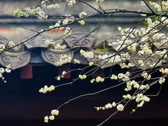 -钱王祠