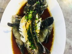 石斑鱼-四川小胡子海鲜(丁村万人海鲜广场店)