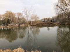 -西安浐灞国家湿地公园