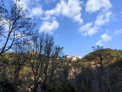 -崂山九水游览区