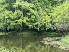 -上海共青森林公园