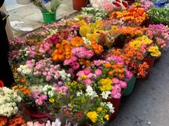 -循礼门鲜花花市(武汉循礼门店)