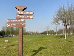 -南海子公园