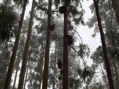 -太阳湾风景区