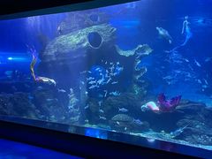 -多彩贵州城极地海洋世界