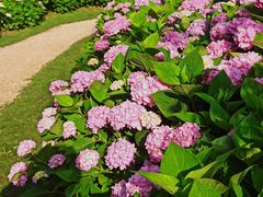 -上海共青森林公园