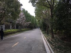 -鹏欣·一品漫城1期