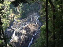 -热带雨林自然公园