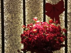 -淮香国色·淮扬菜(正大中心店)