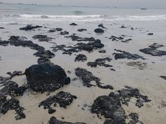 -贝壳沙滩