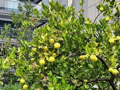 -第六空间家居电器超级Mall(西溪店)