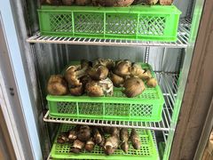 -山菌美食苑(振兴路店)