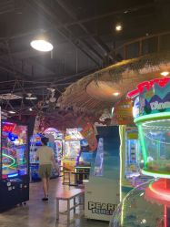 -卡通尼·Safari非洲探索乐园·生日会(金桥国际商业广场店)