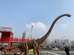 -恐龙探索乐园(磁器口店)