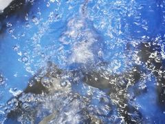 -象山小白象海鲜面