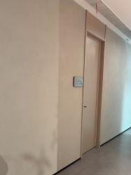-大树儿童摄影