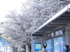 -光谷广场