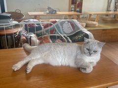 -小时光咖啡馆(开森度假森林店)