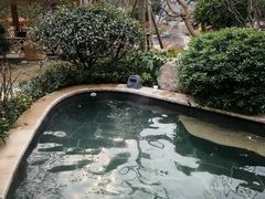 -郑州银基黄帝宫御温泉