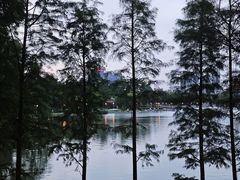 -顺峰山公园
