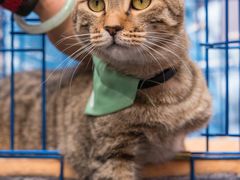 -太平洋数码广场