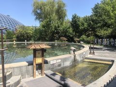 -麦积山温泉