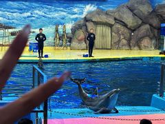 -福州罗源湾海洋世界旅游区