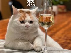 -金米箩大酒店(五角场店)