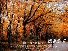 -济南森林公园